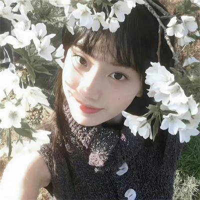 森林深处